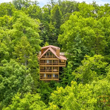 Bearadise Mountain Lodge